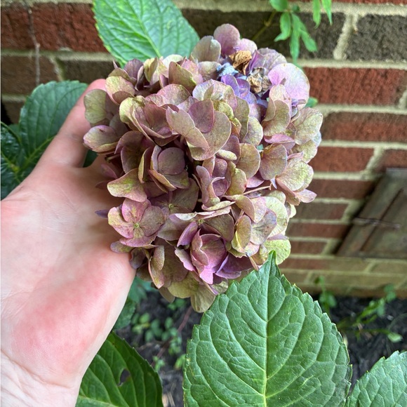 ⁉️MYSTERY BOX⁉️5 Mixed Pieces Cookie Lee Fine Fashion Jewelry worth $125+ Retail - Picture 11 of 15